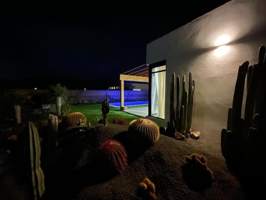 Bungalow + Piscina Independiente La Oliva Εξωτερικό φωτογραφία