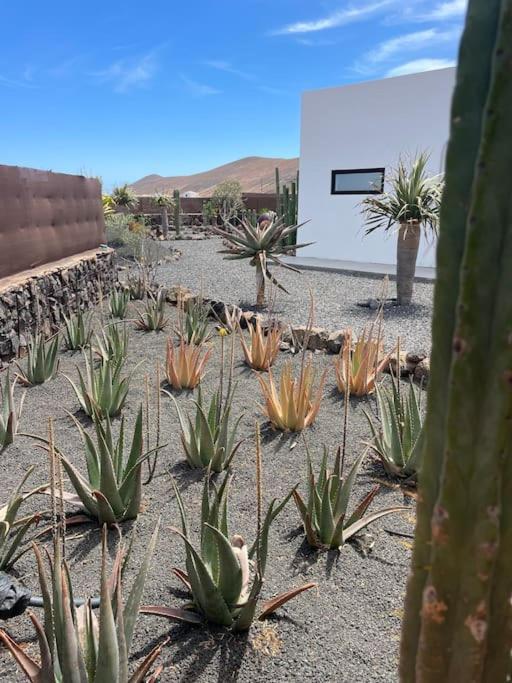 Bungalow + Piscina Independiente La Oliva Εξωτερικό φωτογραφία
